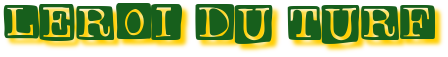 leroiduturf